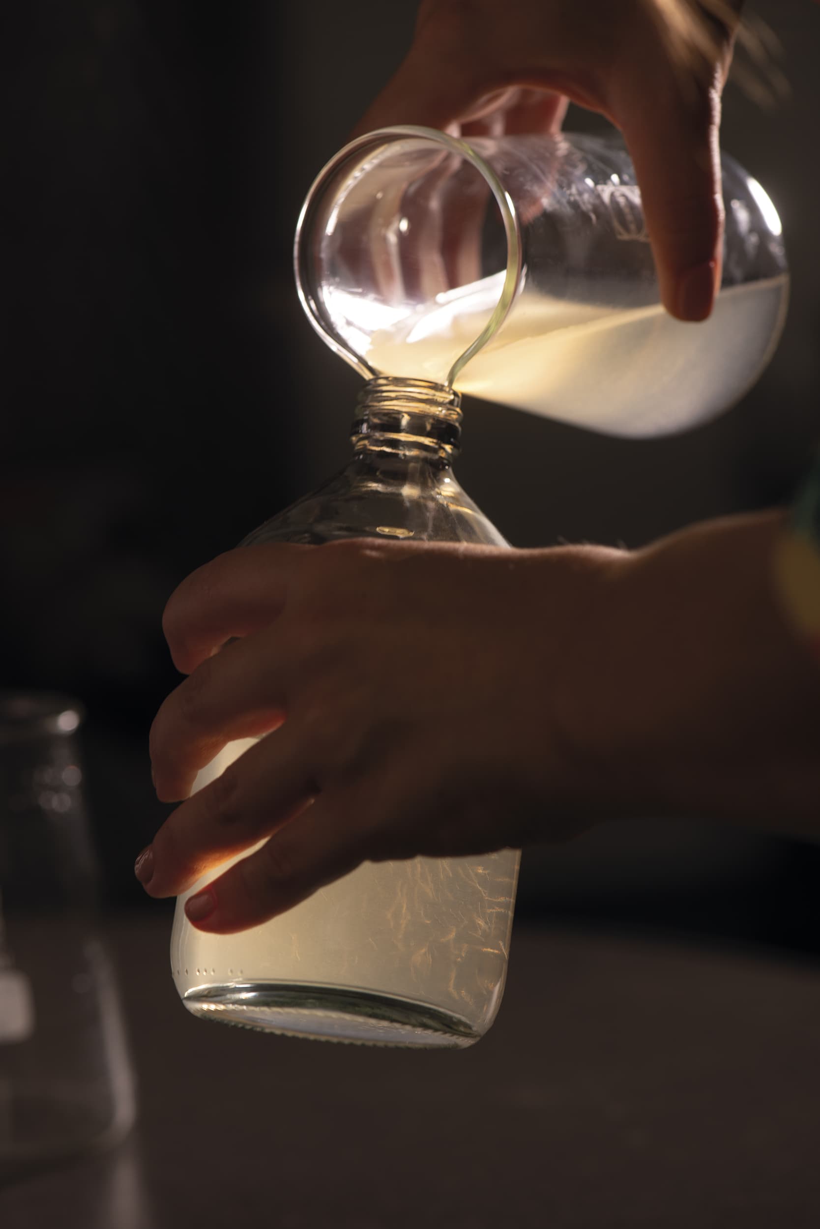 Fermentation