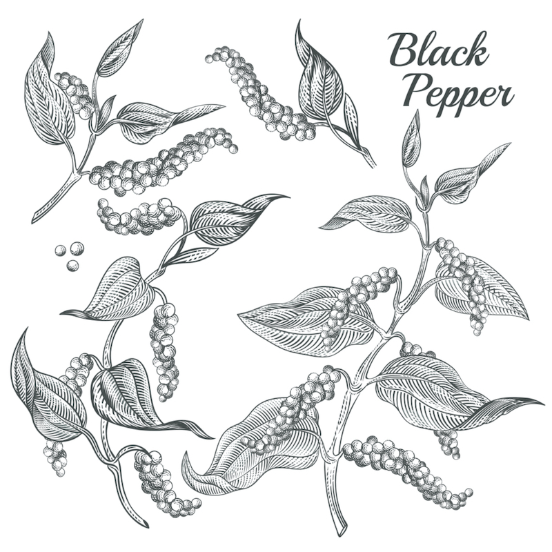 Black pepper