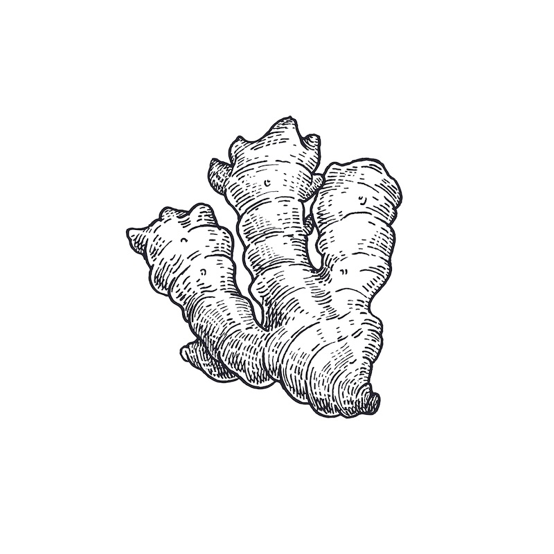 Ginger